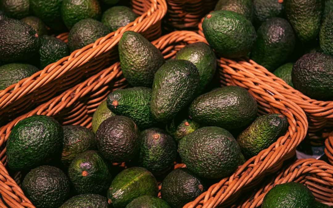 Los retos de la logística para la exportación de aguacates de México a Estados Unidos