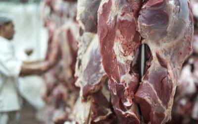 El crecimiento de las exportaciones de carne de cerdo de México a China